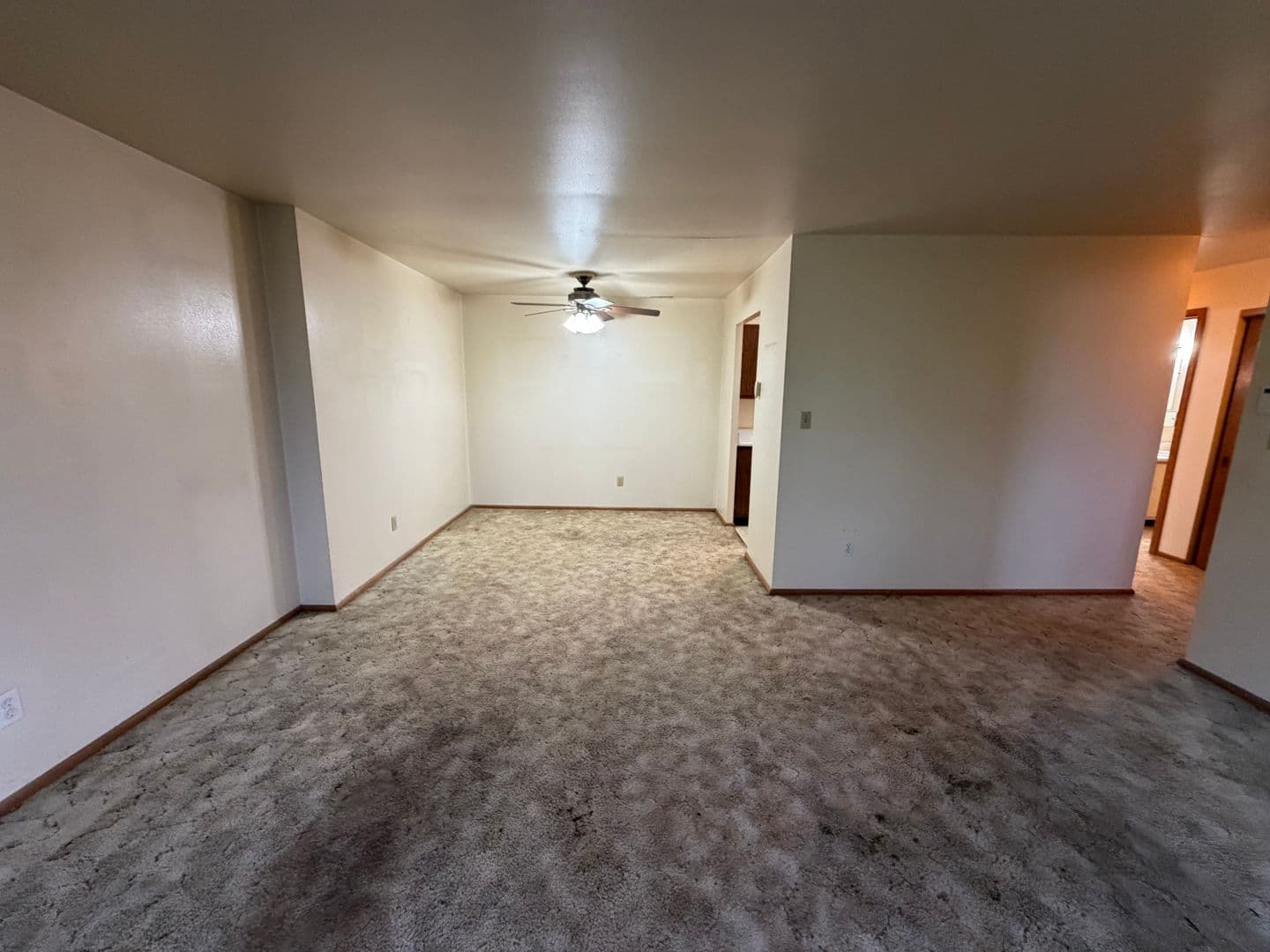 Green Bay Apartment: 113 S Platten St