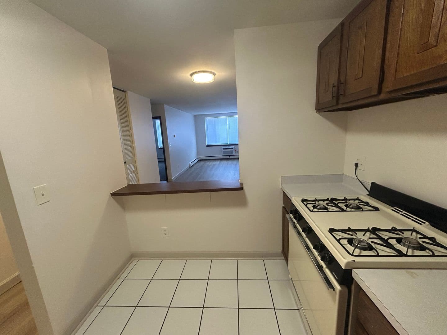 Milwaukee Apartment: 2636 S Logan Ave
