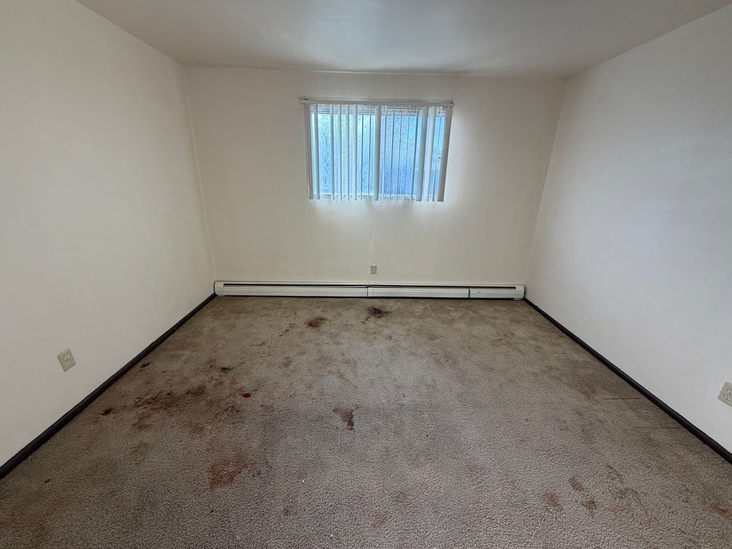Green Bay Apartment: 111 S Platten St