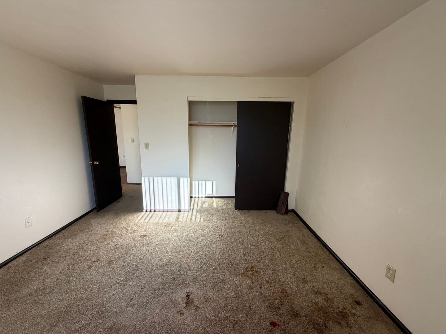 Green Bay Apartment: 111 S Platten St