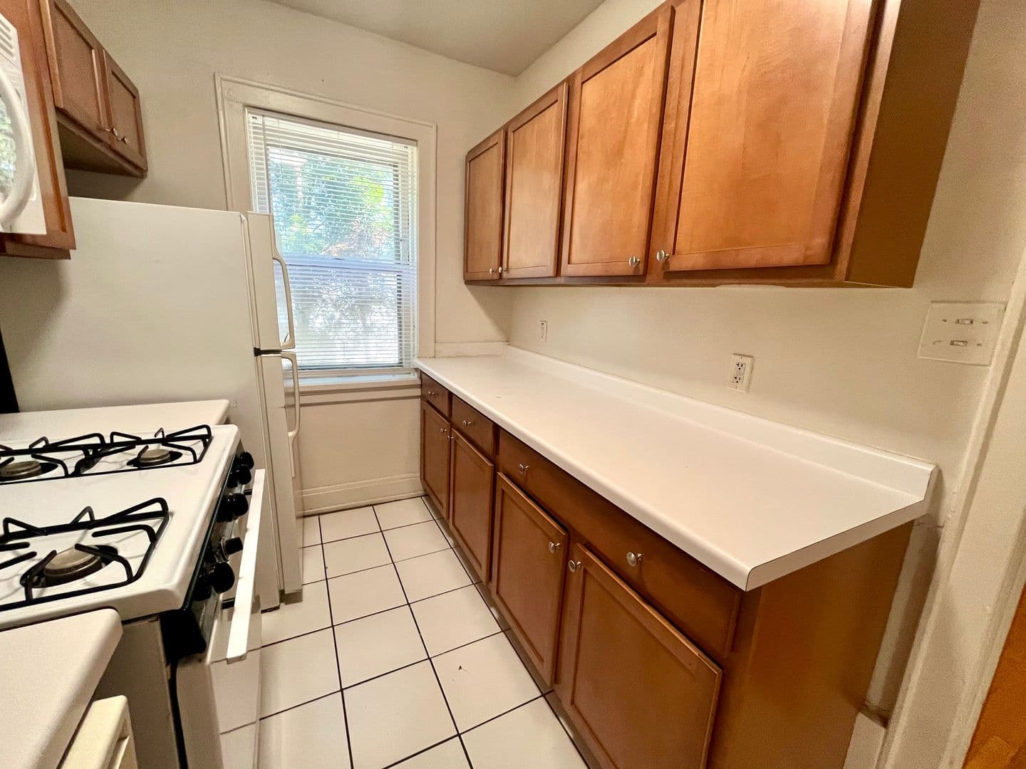 Shorewood Apartment: 1806 E Kenmore Pl