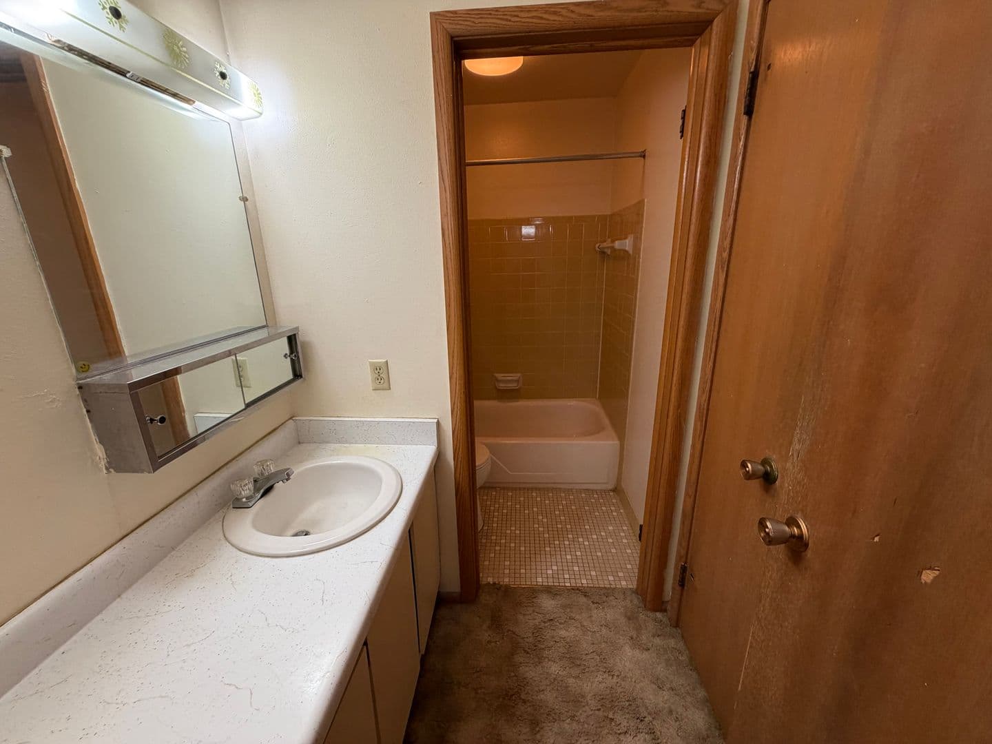 Green Bay Apartment: 113 S Platten St