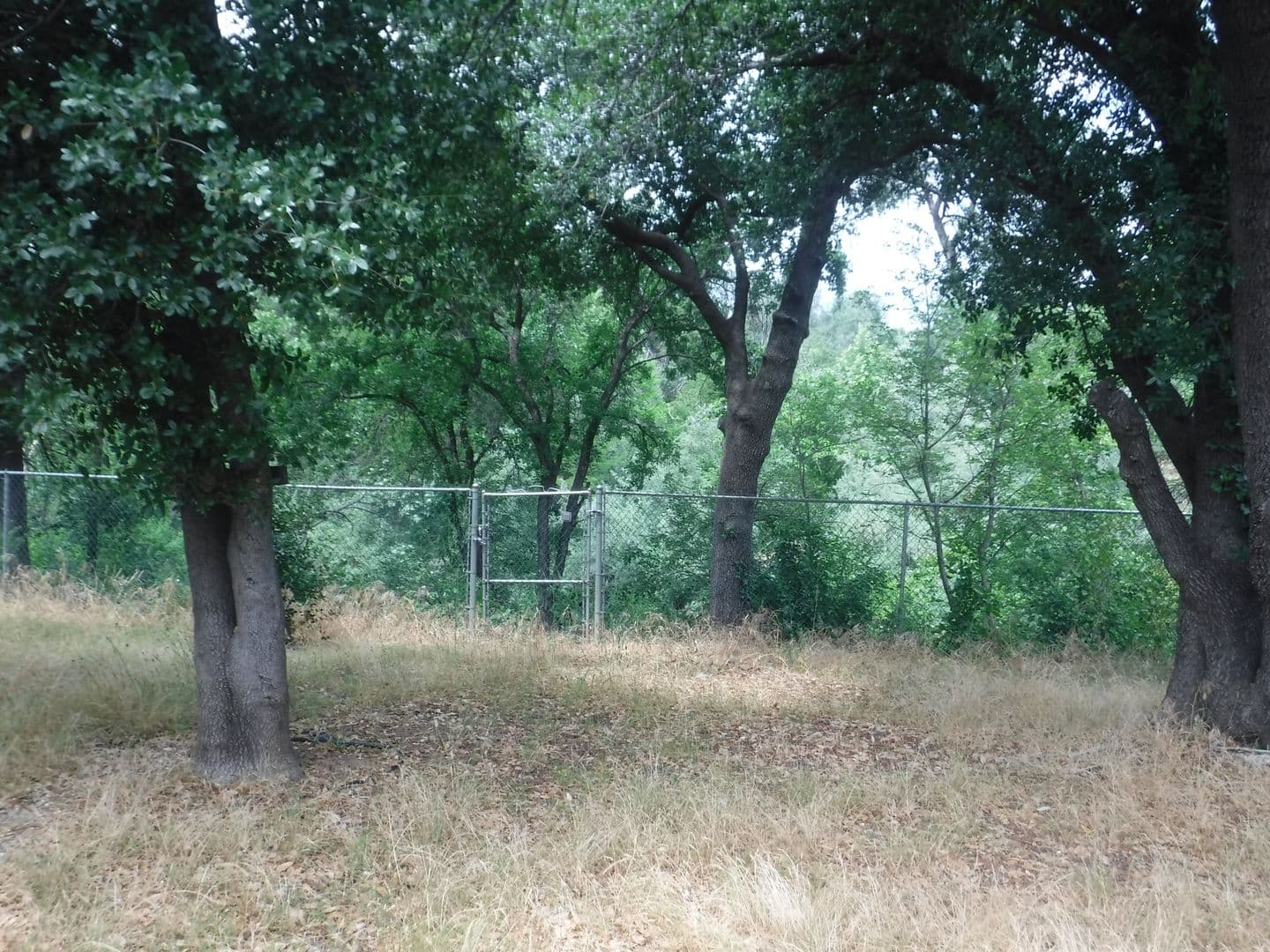 REDDING House: 3314 SOMERSET AVE