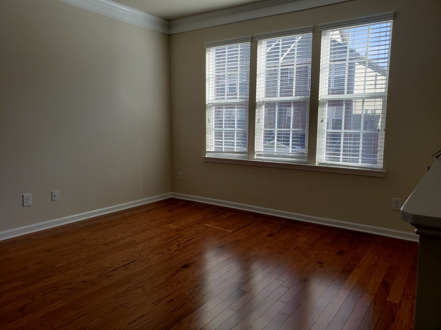 Cary Townhome: 317 Dove Cottage Lane