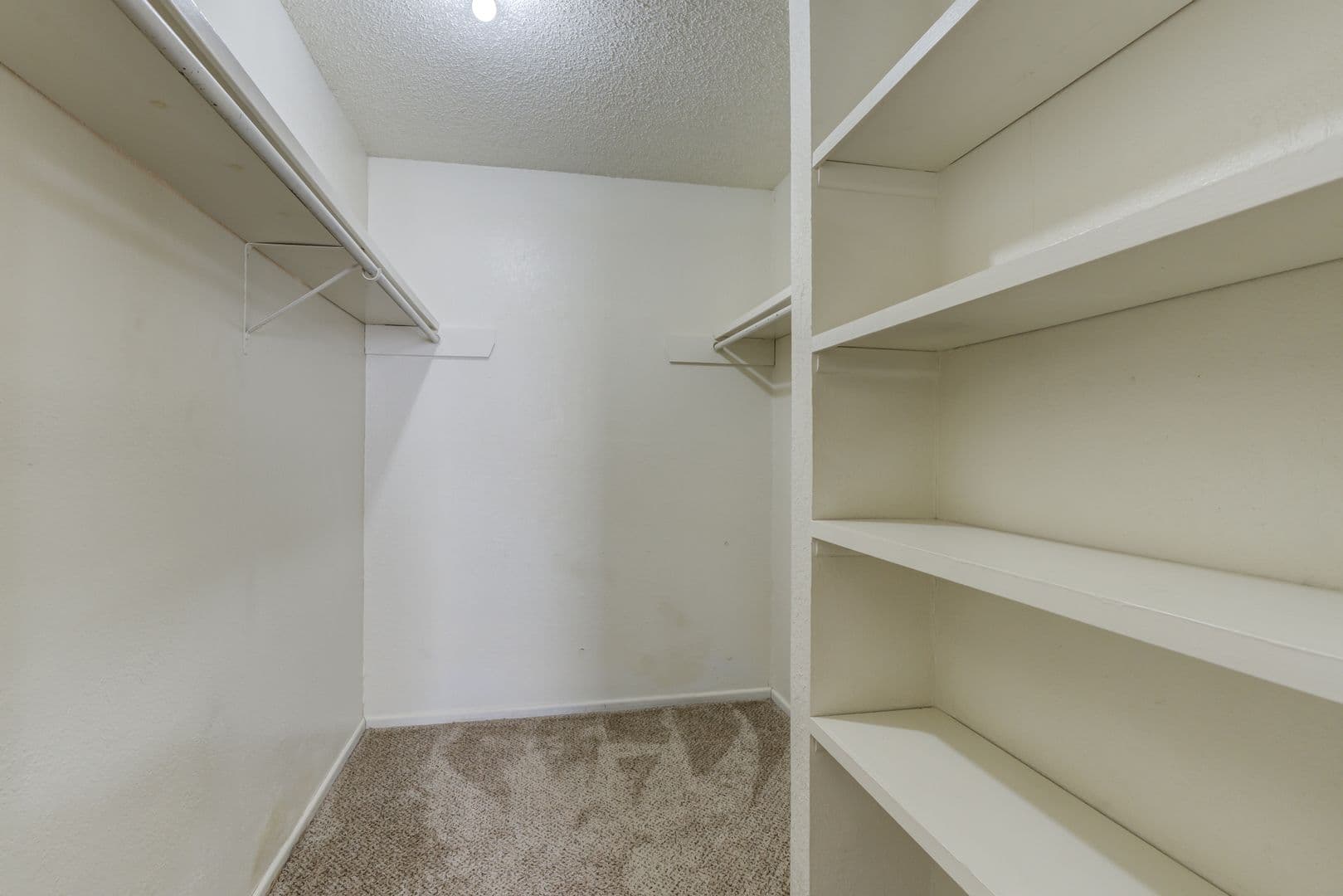 Lubbock Apartment: 4705 Albany Ave.