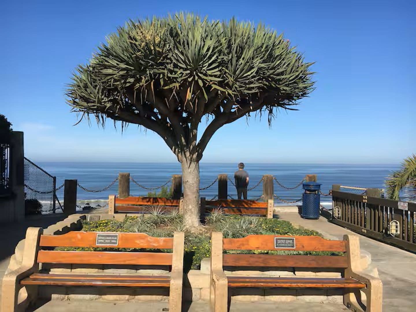 Encinitas House: 837 4th Street