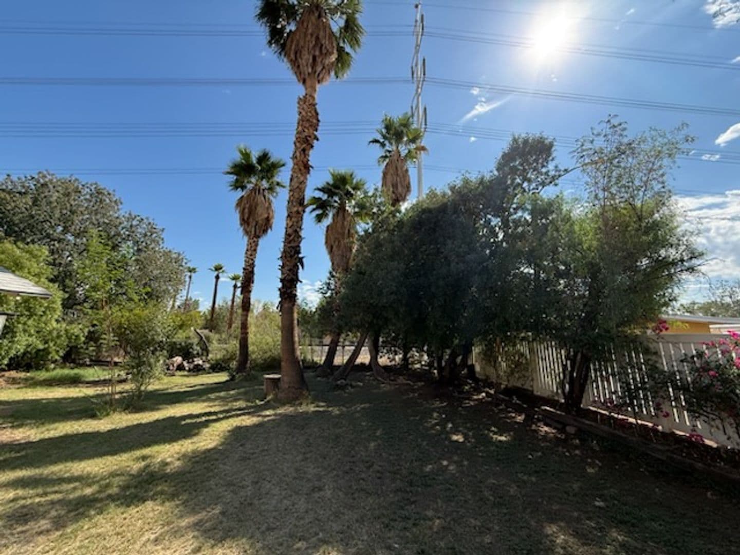 Tempe House: 1215 S Farmer