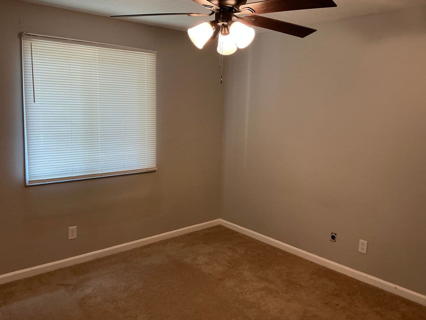 Columbia Apartment: 1005 Piney Woods Rd.