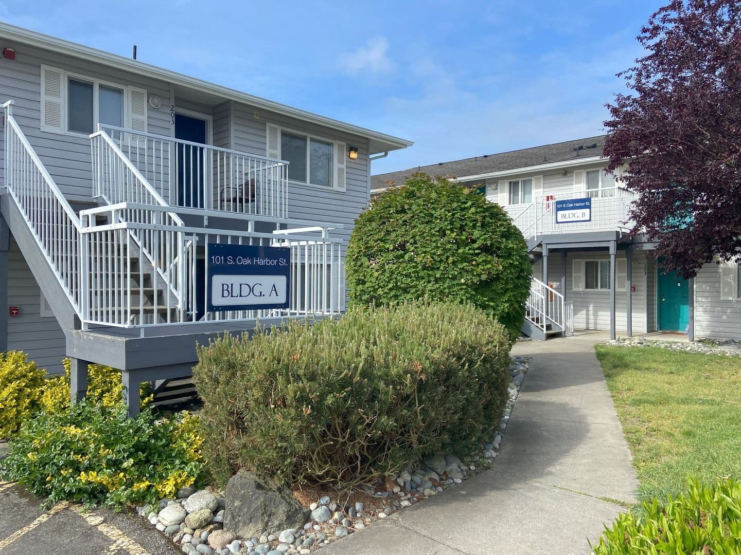 Oak Harbor Apartment: 65 W Whidbey Ave #A203