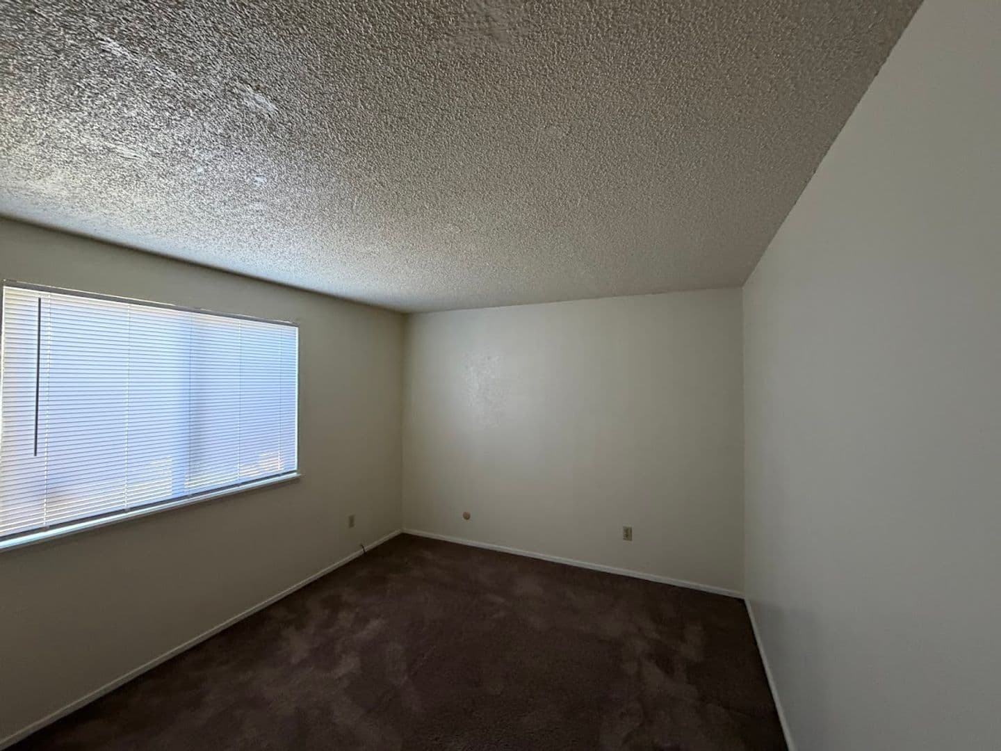 Eureka House: 4333 Walnut Drive
