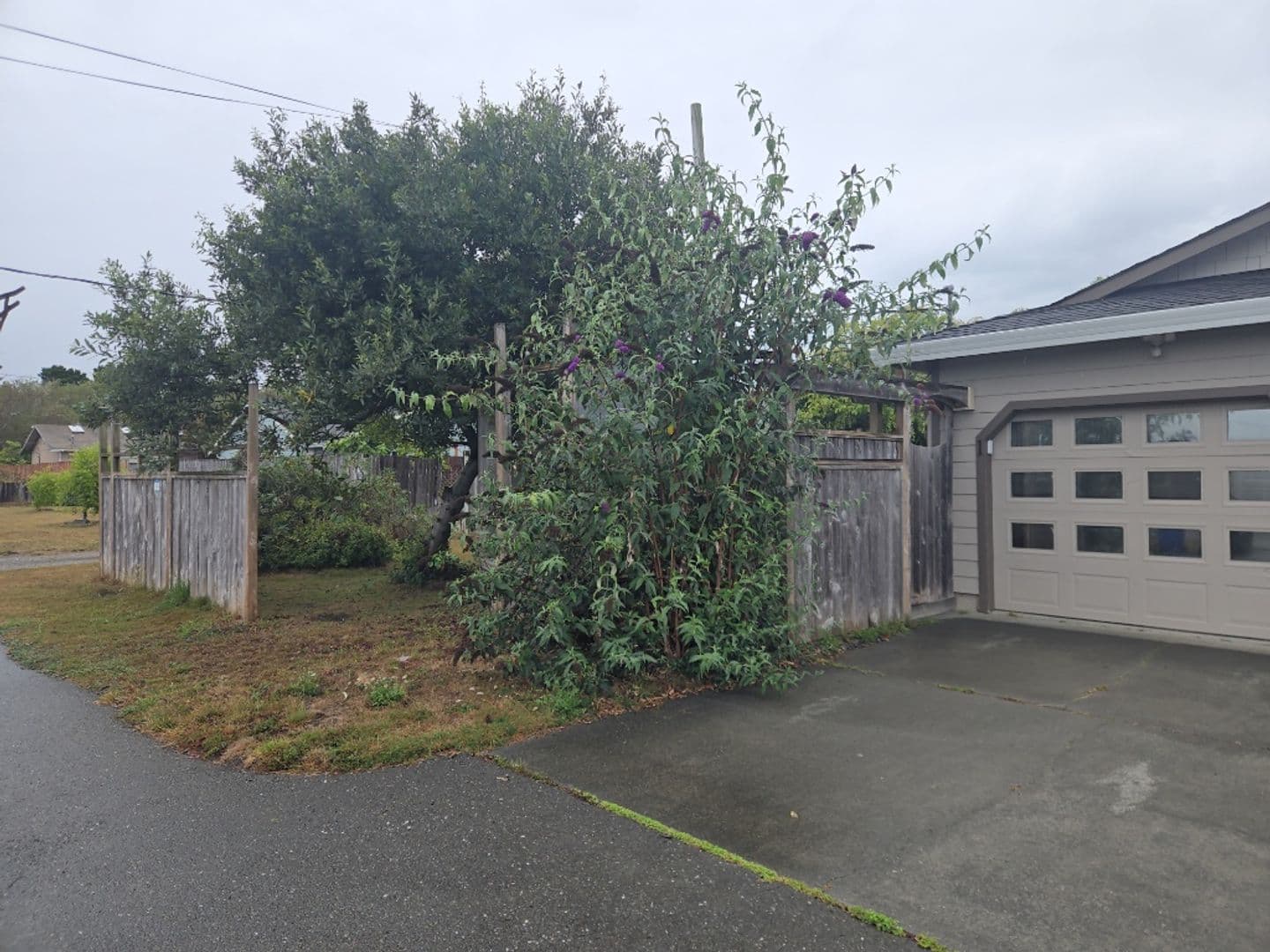 McKinleyville Apartment: 1655 - 1659 Fischer Ave.