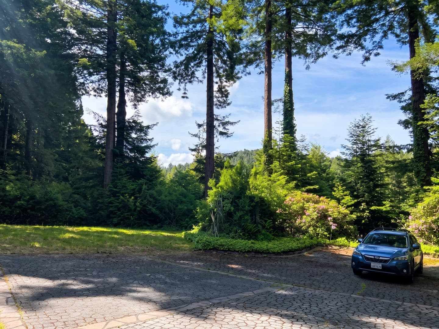 Eureka Apartment: 219 Boyle Drive