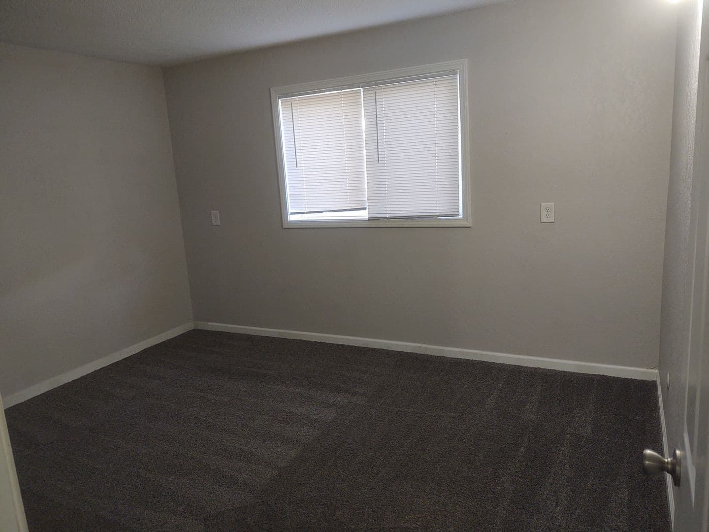 Moline Apartment: 5529 34th Ave