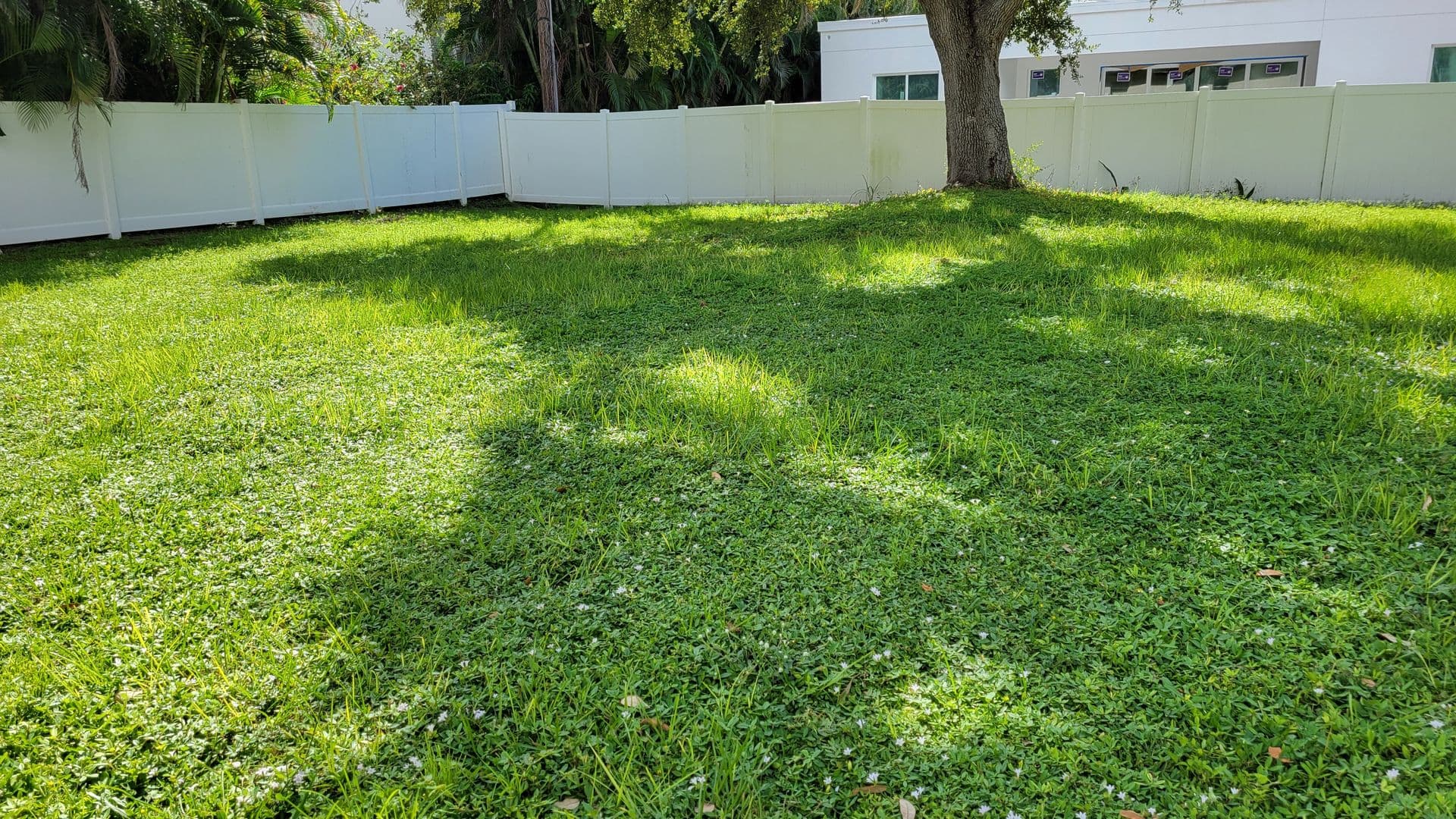 Sarasota House: 3932 Sunshine Ave.