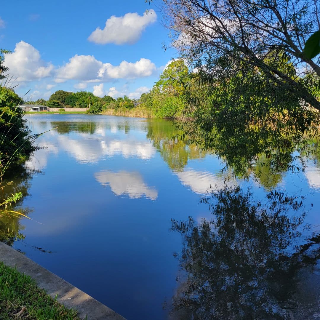 Sarasota House: 3439 McIntosh Rd.