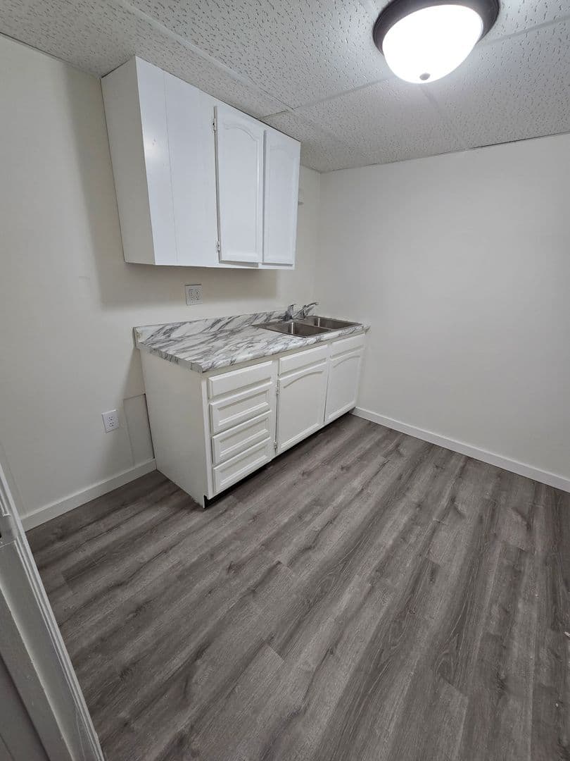 SLOAN Apartment: 110 ALDERSON ST