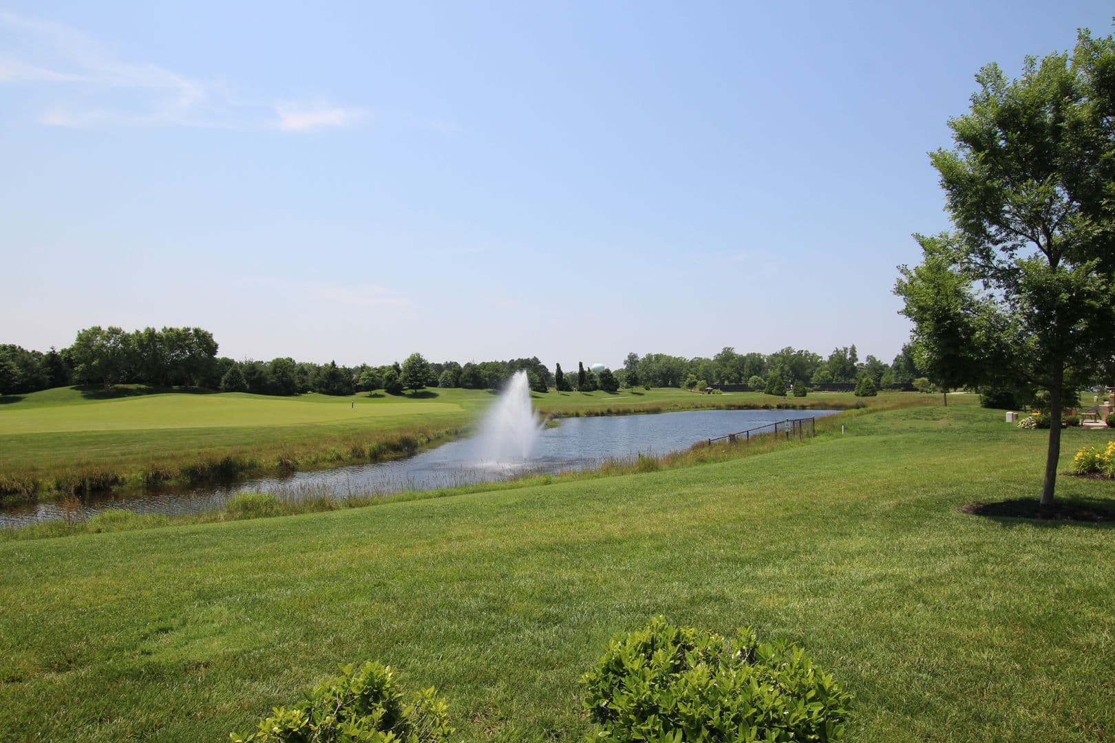 Millsboro Townhome: 29854 Plantations Lake Blvd.