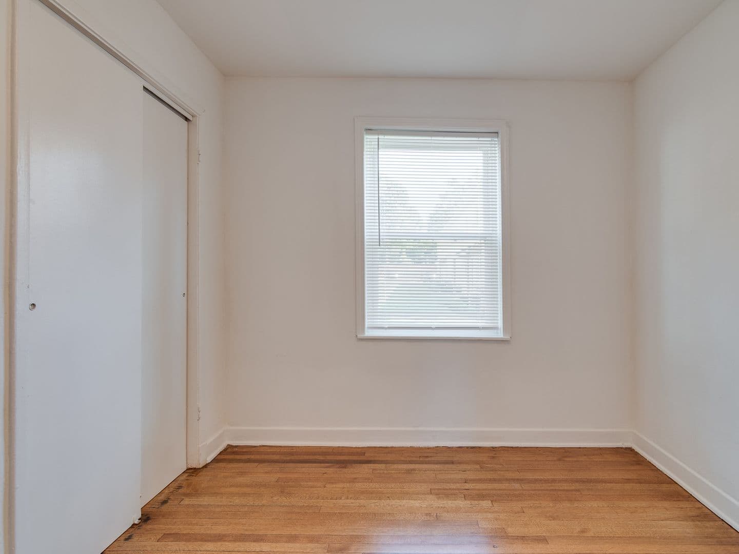 Memphis Apartment: 170 N Hollywood St