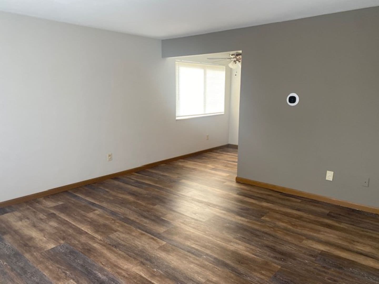 Belleville Apartment: 1528 Lebanon Ave