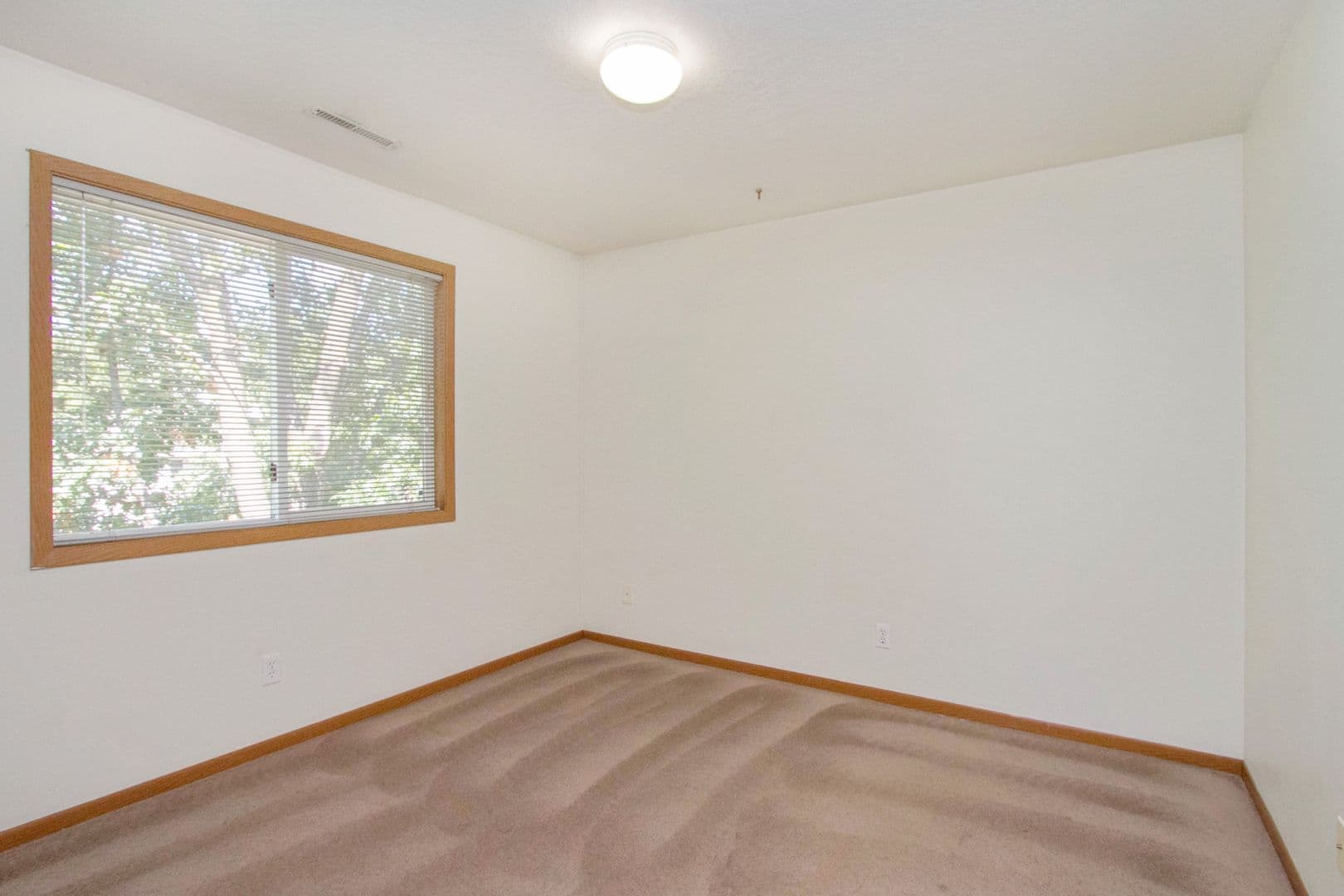 Ames Apartment: 216/224 S. Kellogg