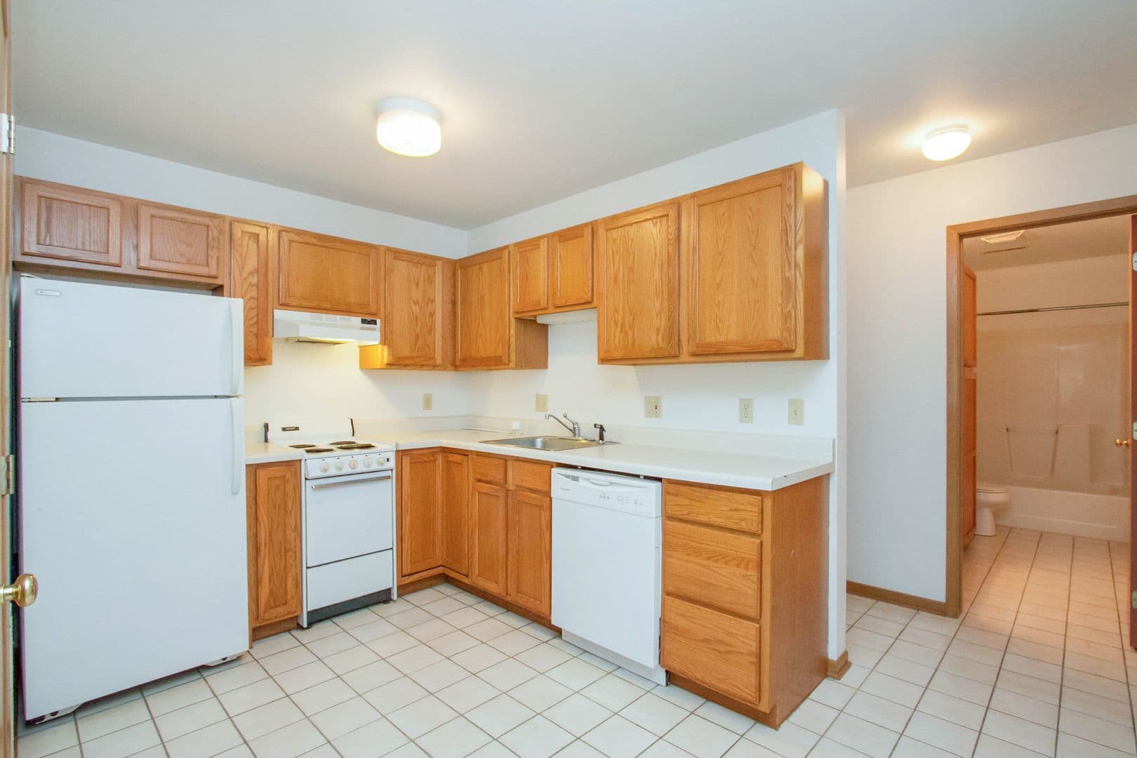 Ames Apartment: 1007 Lincoln Way