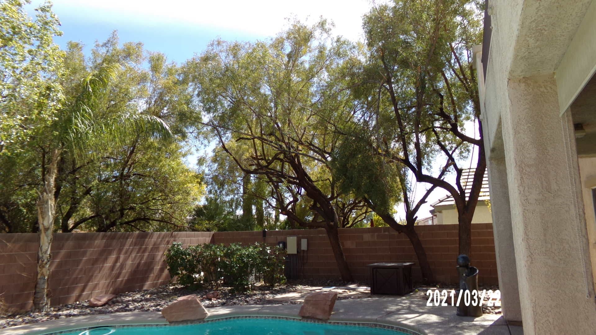 LAS VEGAS House: 784 SAN JACOMA PL