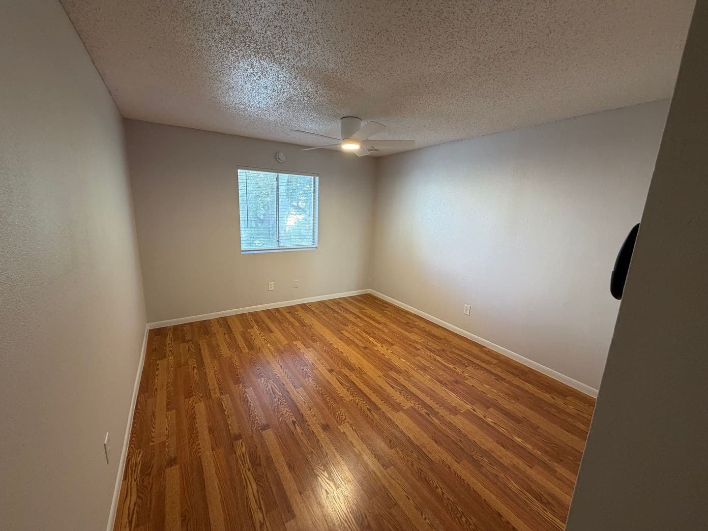Austin Apartment: 1725 Toomey Rd