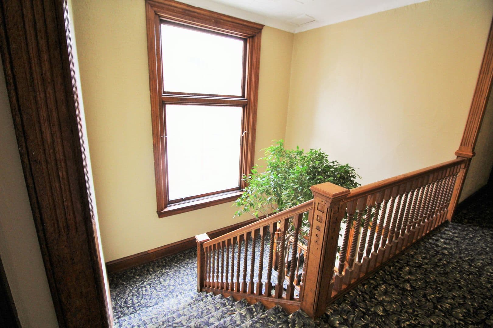 Cincinnati Apartment: 2229 Park Ave.