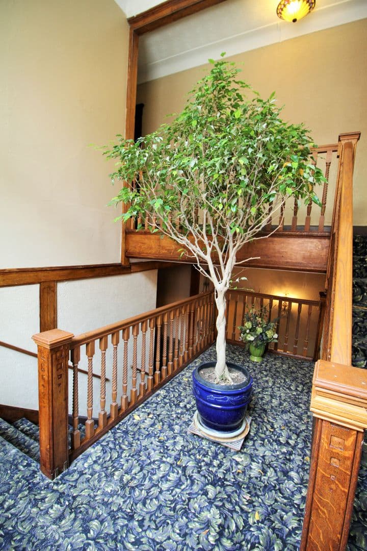Cincinnati Apartment: 2229 Park Ave.