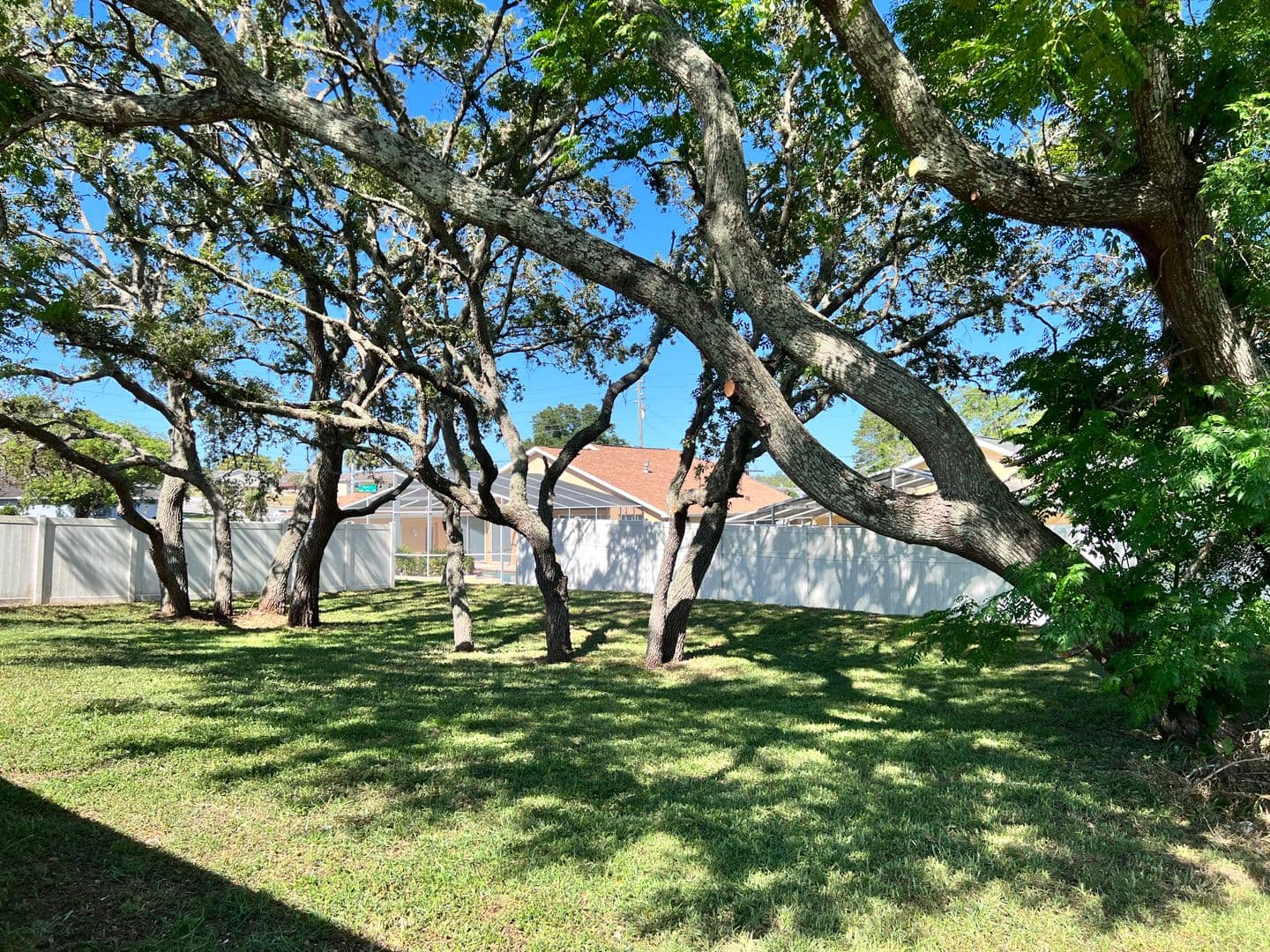 Spring Hill House: 13105 Hanley Dr.