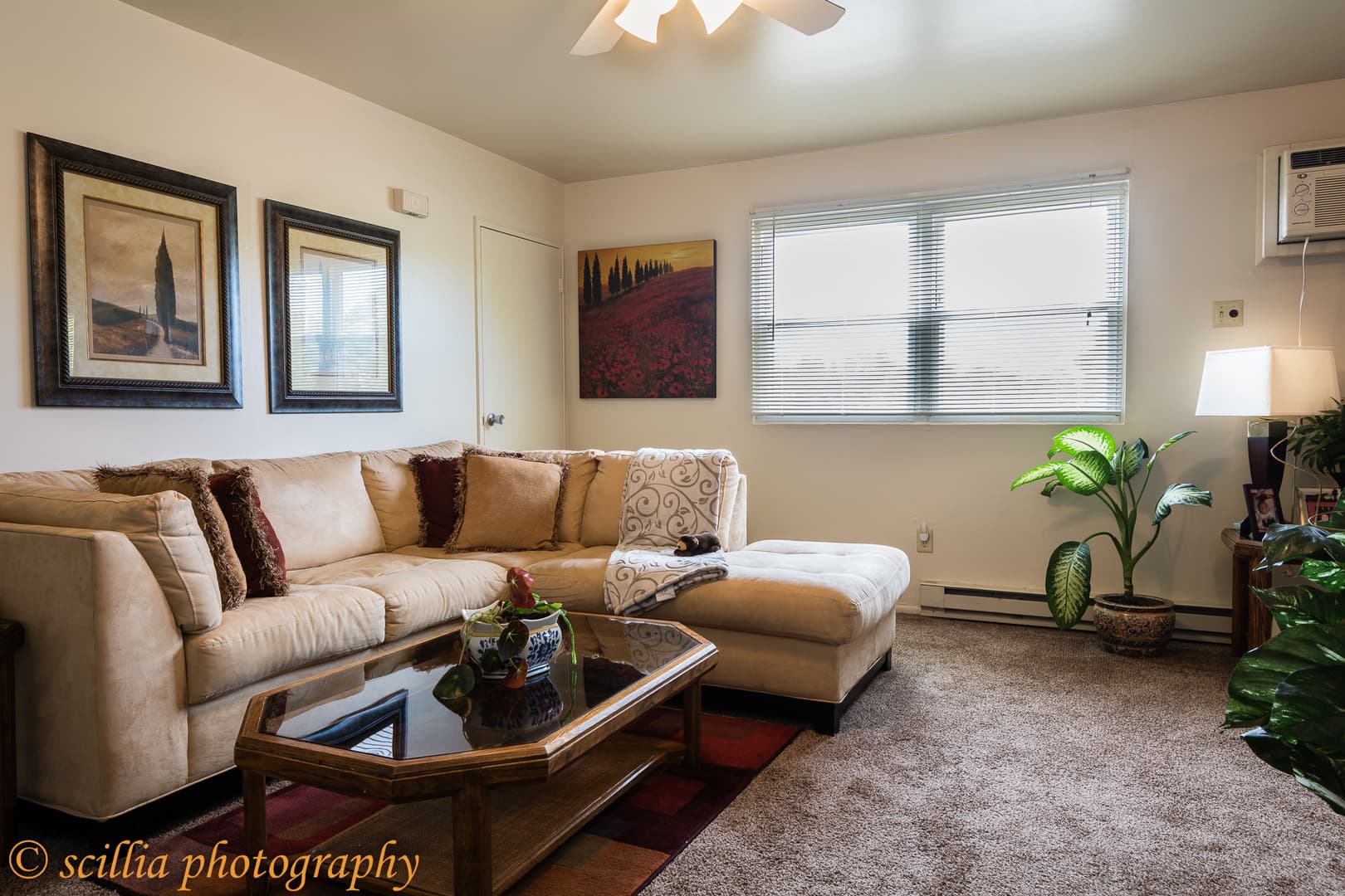 Gilbertsville Apartment: 200 Gilbertsville Rd