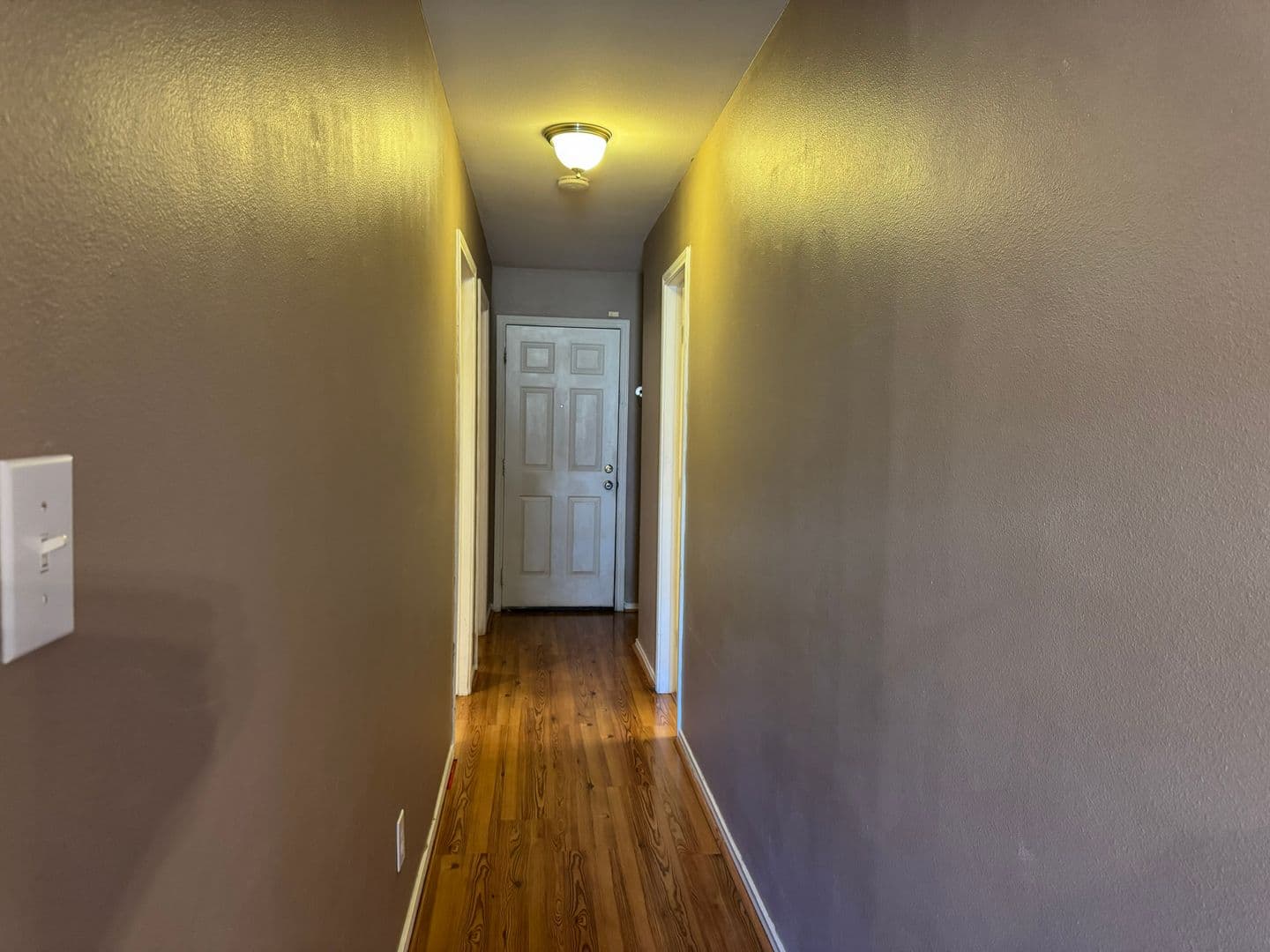 SAN ANTONIO House: 25607 CRIMSON BEAUTY