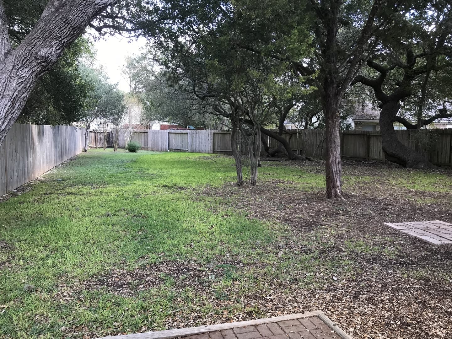 SCHERTZ House: 2520 CRESTED HEIGHTS