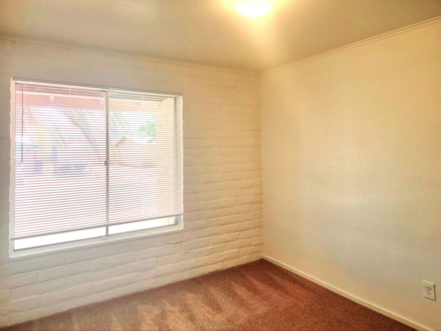 Tucson House: 3702 S. Avenida de las Palmas