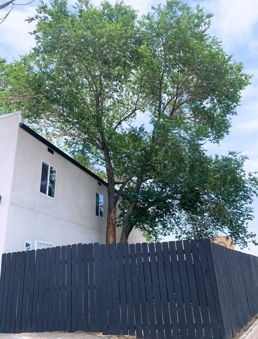 Albuquerque Apartment: 11100 Ventura PL NE