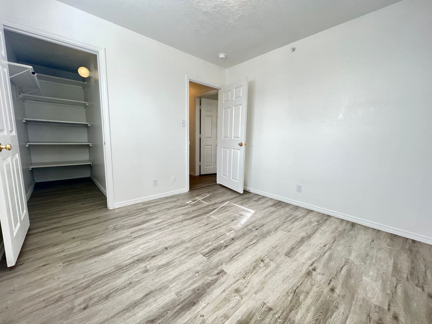 Albuquerque Apartment: 1038 Palomas Dr SE