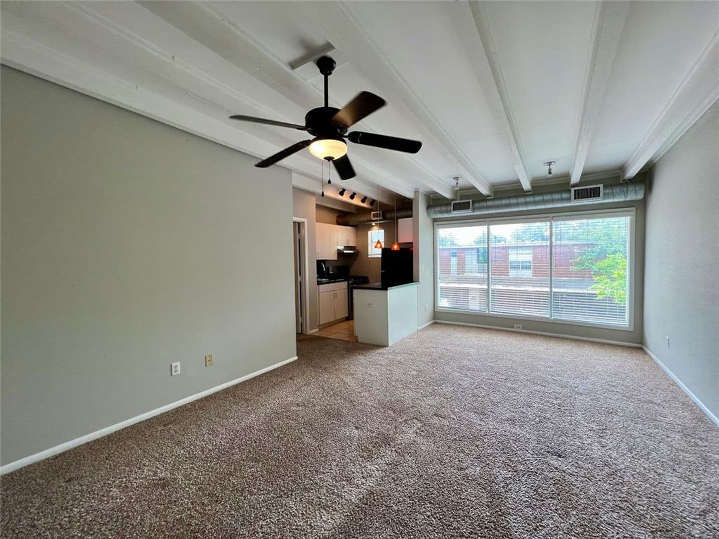 Houston Apartment: 219 Marshall