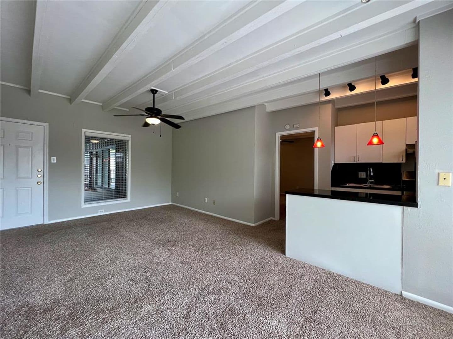 Houston Apartment: 219 Marshall