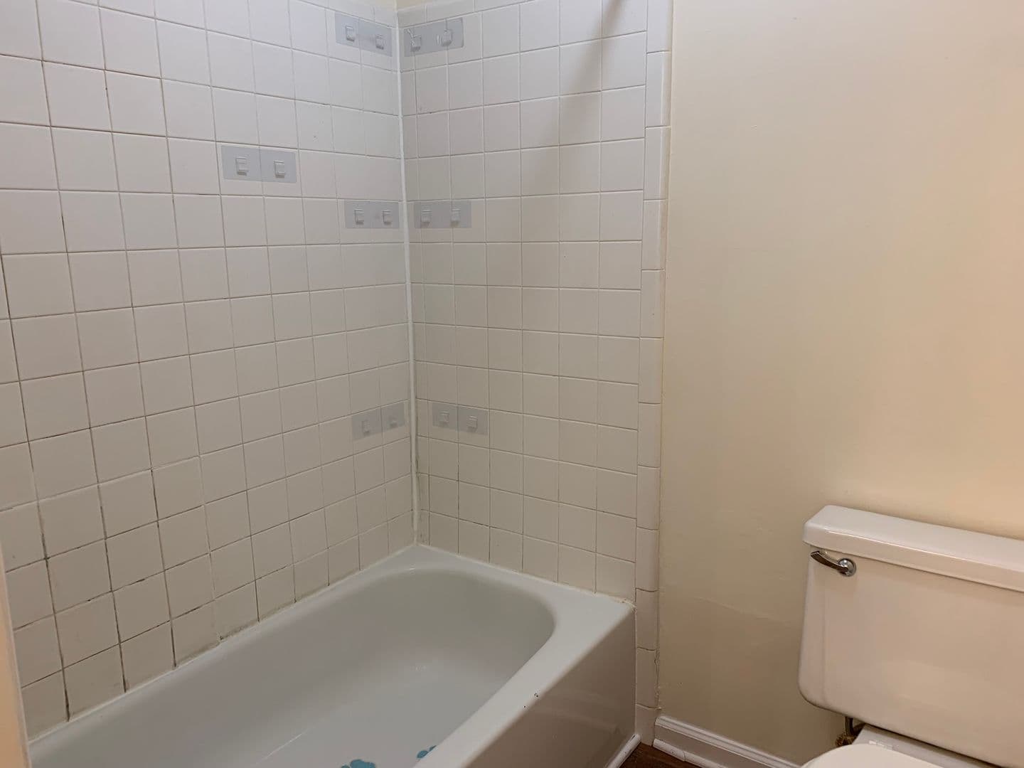 Raleigh Apartment: 4030-4042 Arckelton Drive