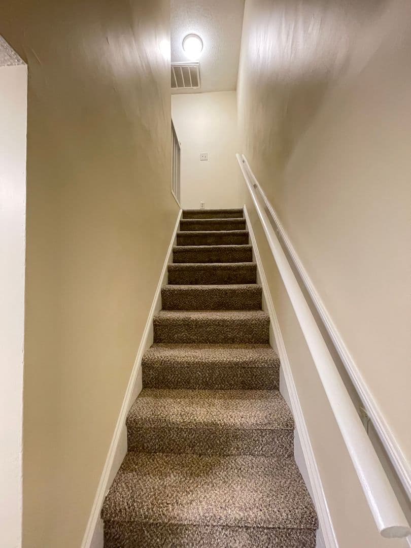 Raleigh Apartment: 5317 Wayne Street