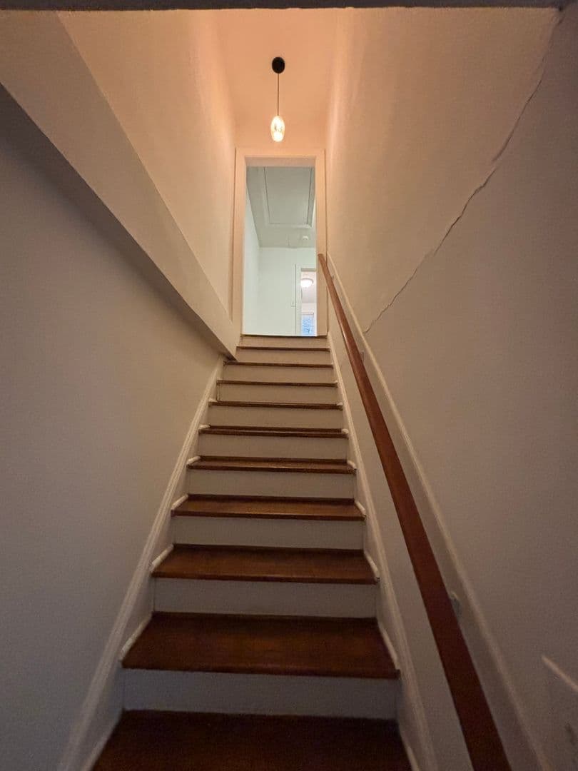 Raleigh Apartment: 3113 & 3115 Douglas Street