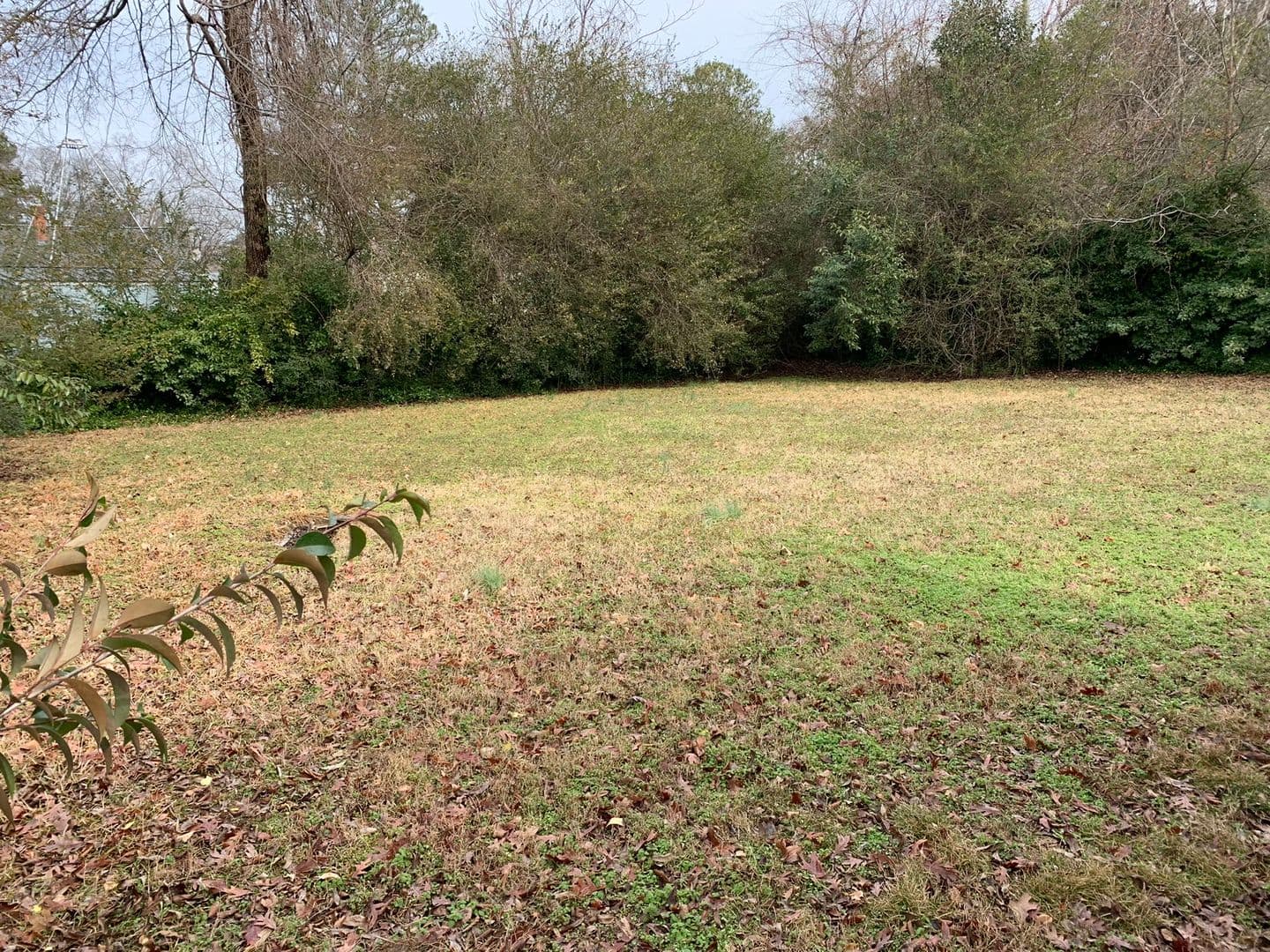 Raleigh House: 2209 Milburnie Road
