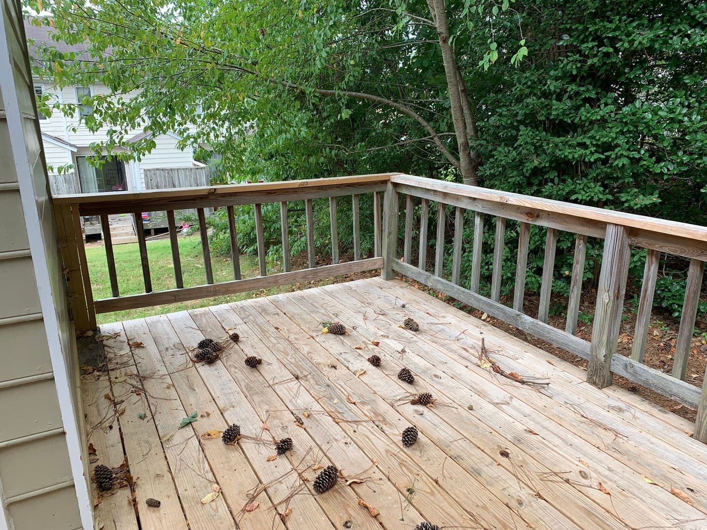 Raleigh Apartment: 4205 Cobia Court