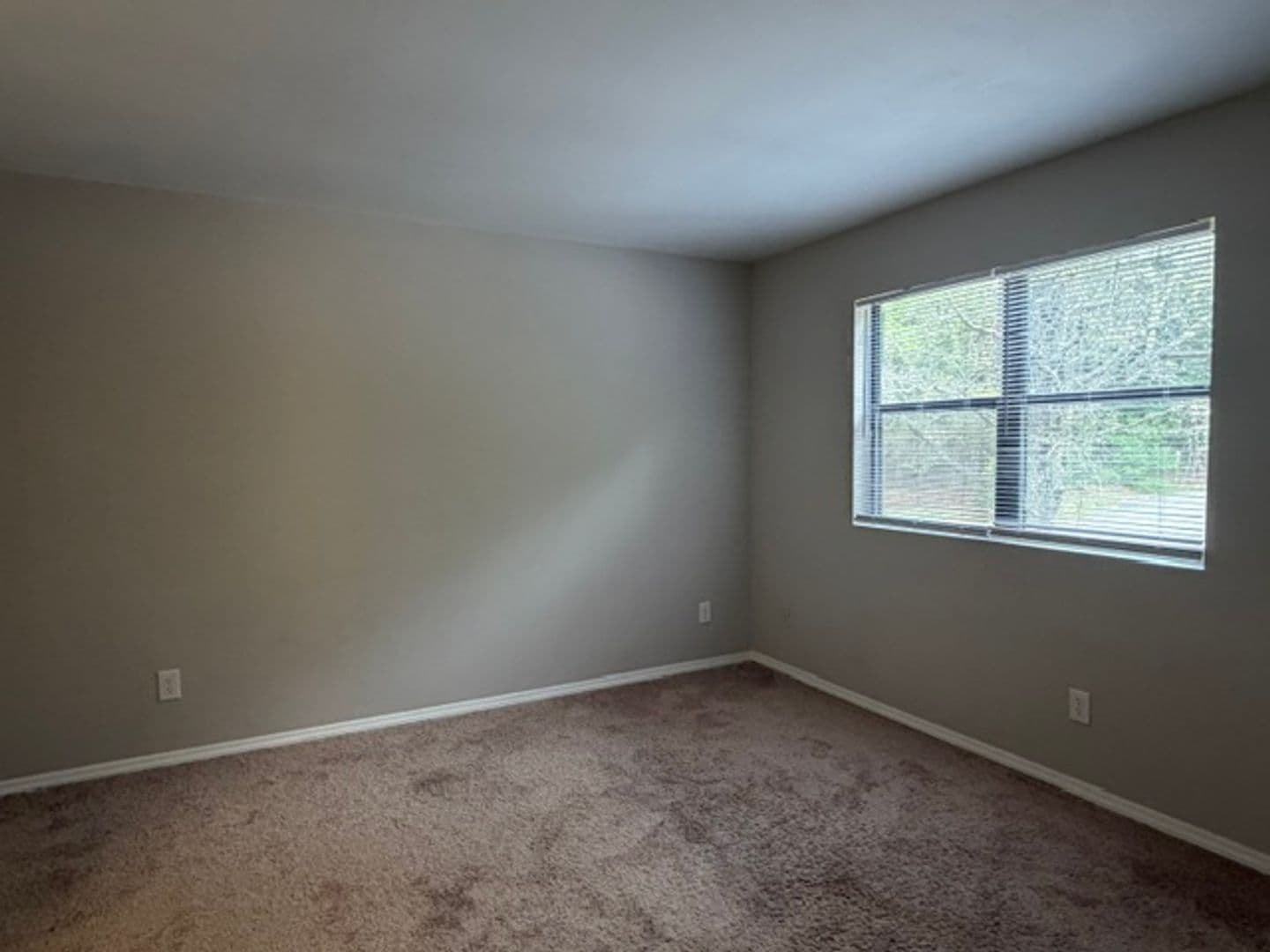 Cary Apartment: Ashton Woods