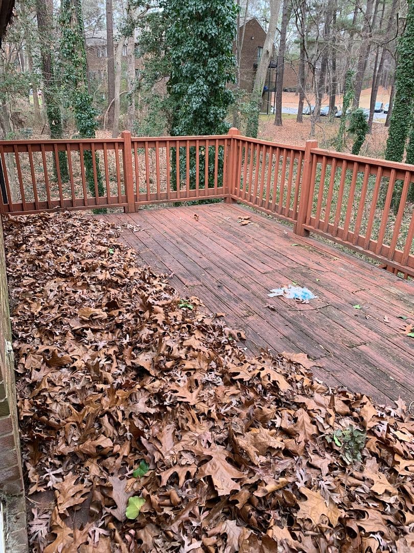 Raleigh Apartment: 4932 Pebble Beach Drive