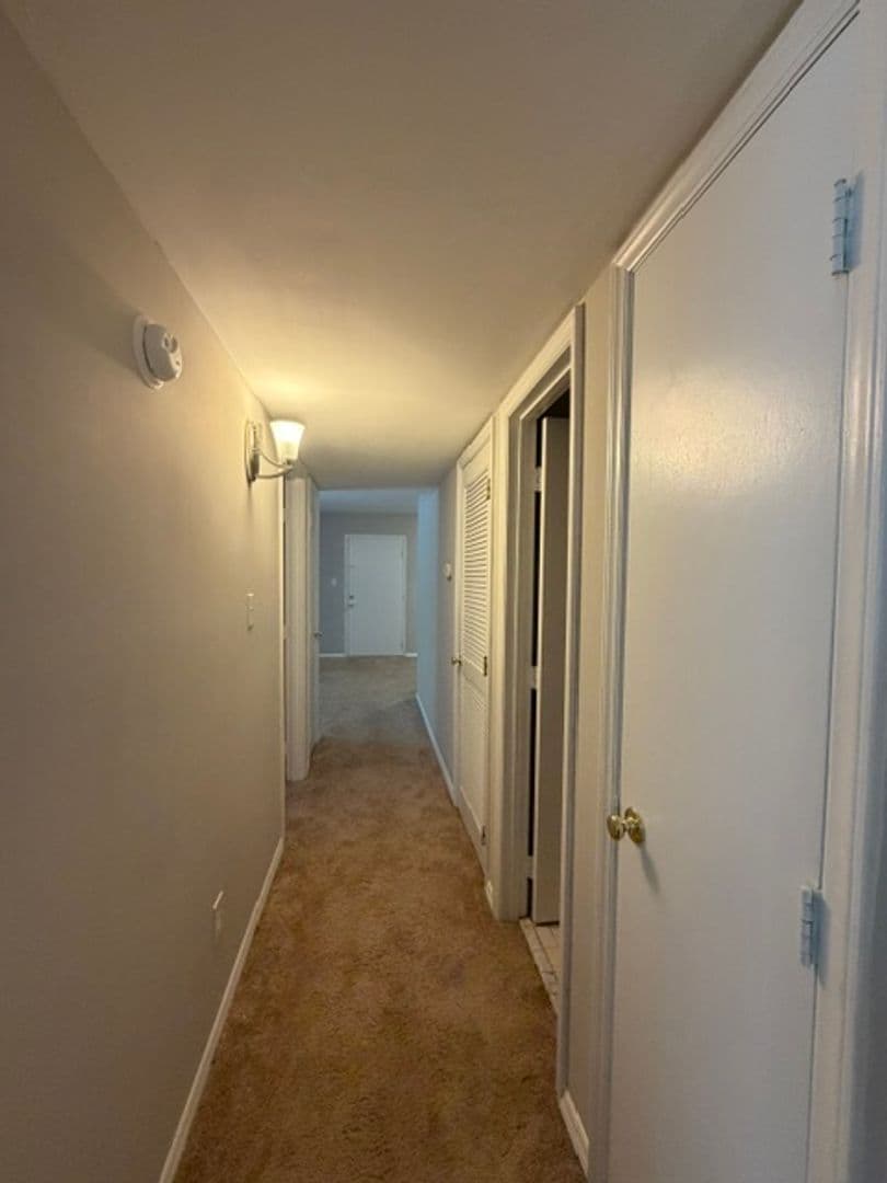 Cary Apartment: Ashton Woods