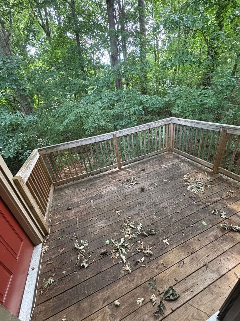 Raleigh Apartment: 1512 Collegeview Avenue