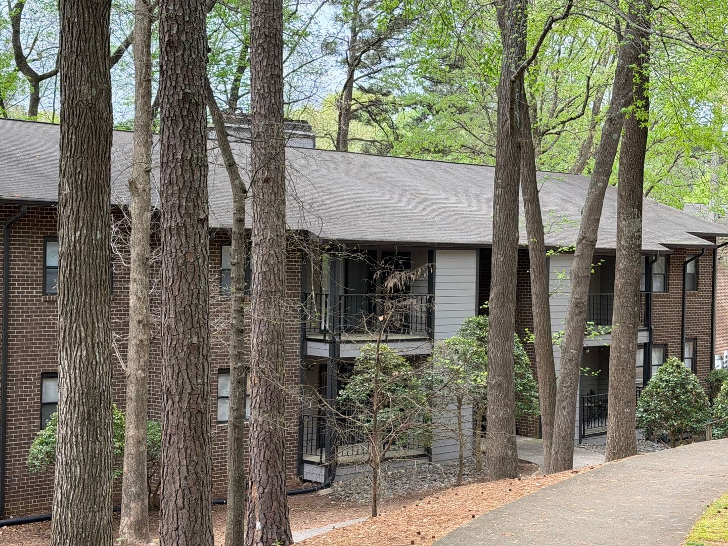 Cary Apartment: Ashton Woods