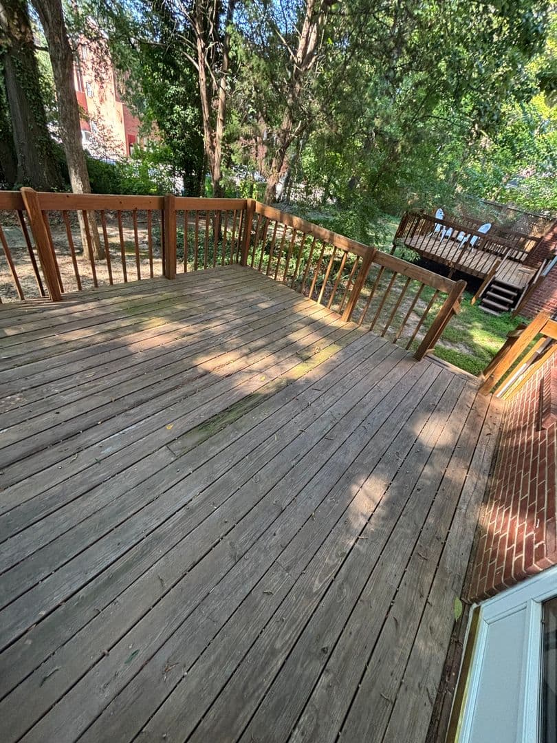 Raleigh Apartment: 3113 & 3115 Douglas Street