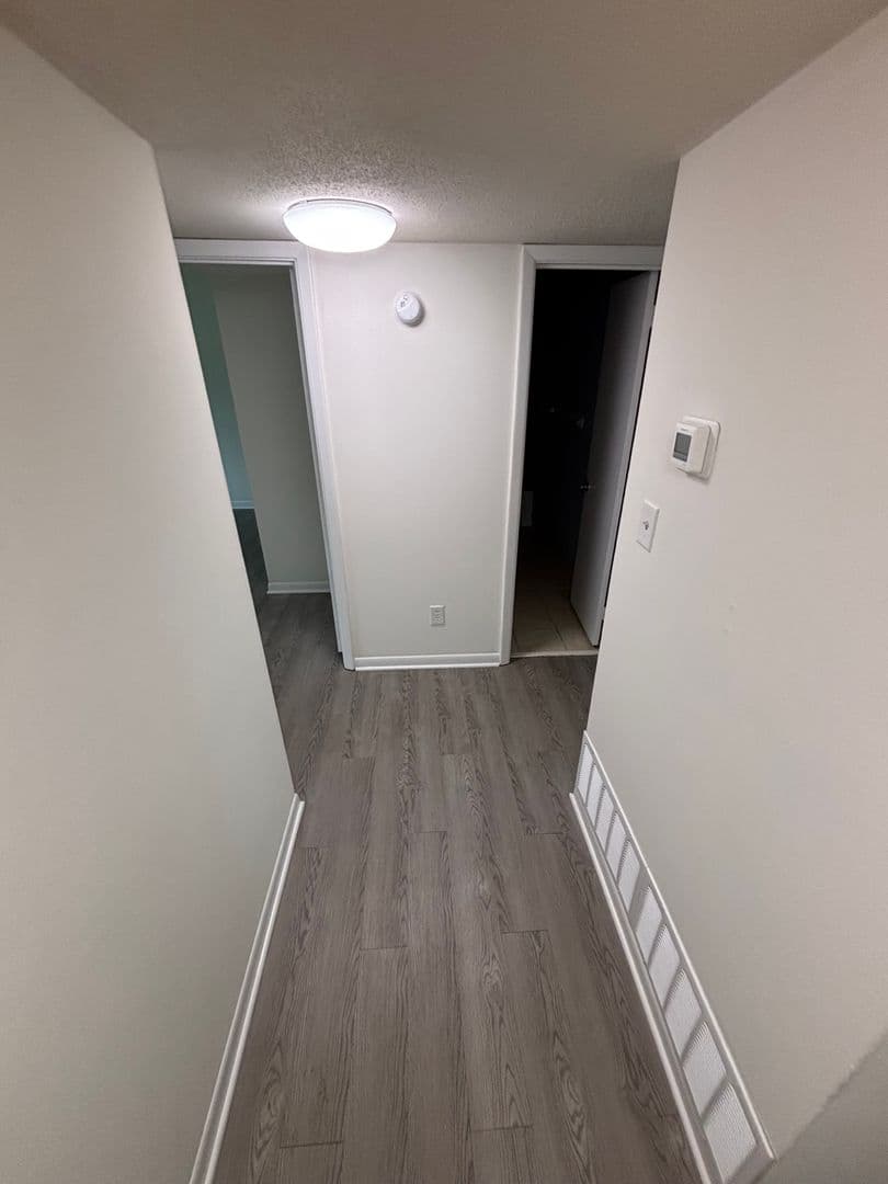 Raleigh Apartment: 2357 Champion Court